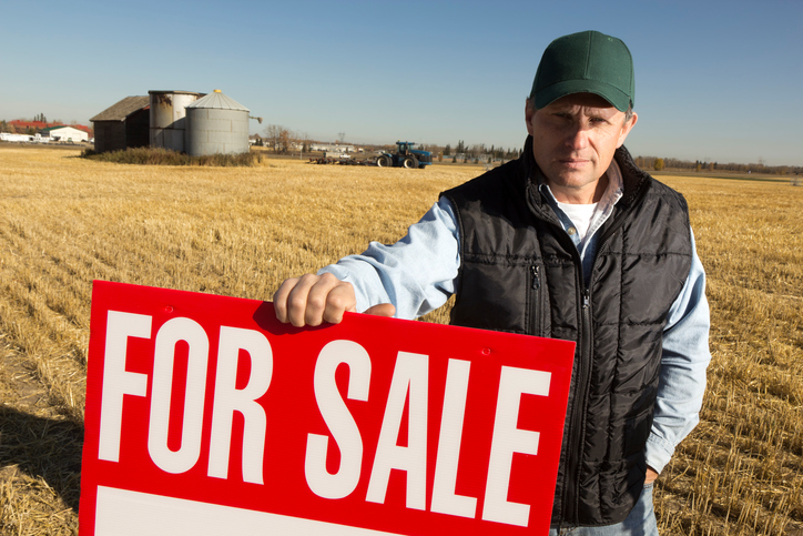The Dos and Don’ts of Buying a Homestead